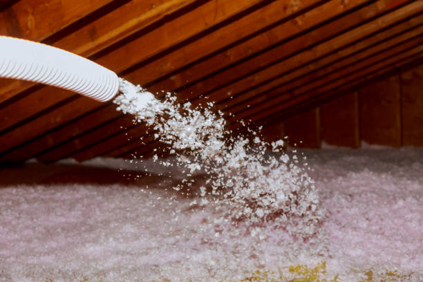 Best Local Insulation Services  in Kernersville, NC