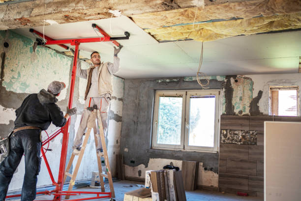 Best Cellulose Insulation  in Kernersville, NC