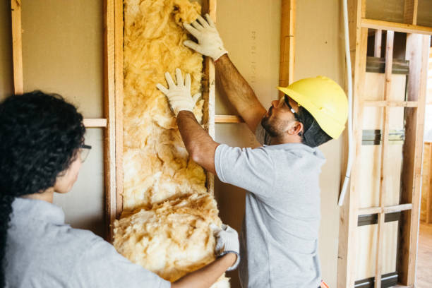 Best Best Insulation Companies  in Kernersville, NC