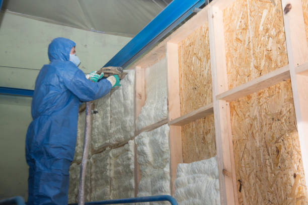Best Residential Insulation Services  in Kernersville, NC