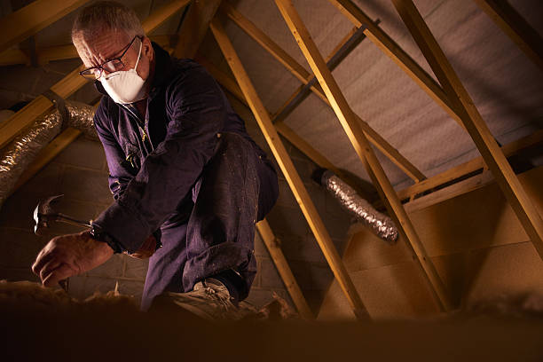 Best Insulation Contractor Near Me  in Kernersville, NC