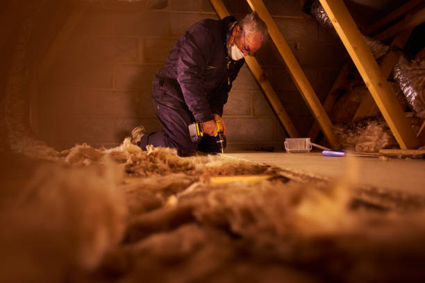Best Insulation Inspection Services  in Kernersville, NC